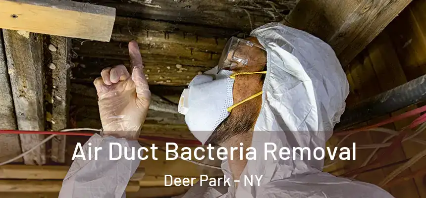  Air Duct Bacteria Removal Deer Park - NY
