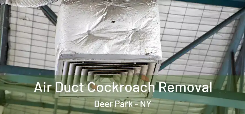  Air Duct Cockroach Removal Deer Park - NY