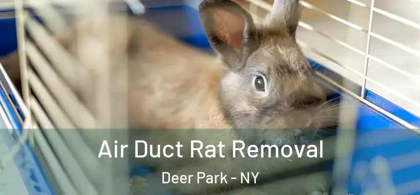 Air Duct Rat Removal Deer Park - NY