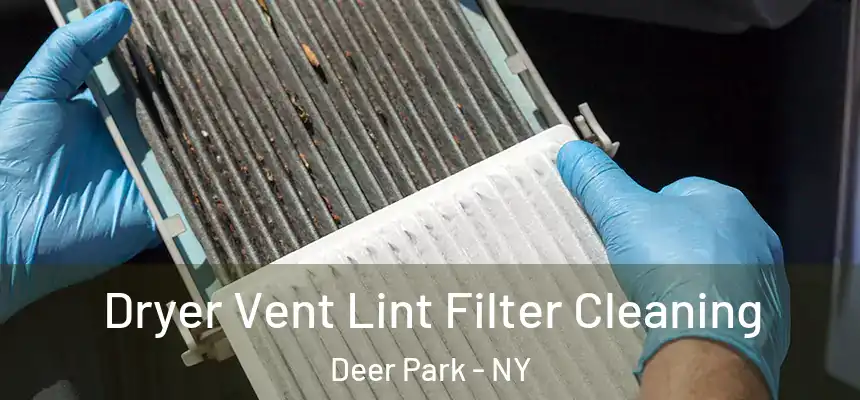  Dryer Vent Lint Filter Cleaning Deer Park - NY