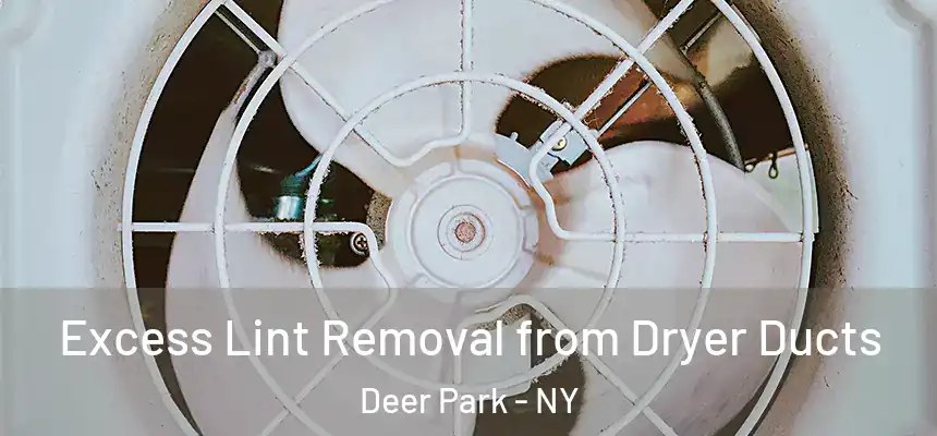  Excess Lint Removal from Dryer Ducts Deer Park - NY