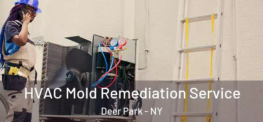  HVAC Mold Remediation Service Deer Park - NY