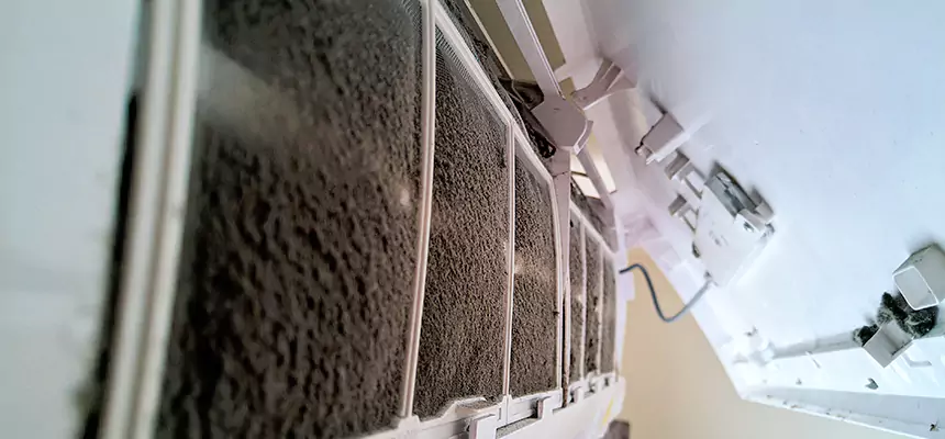 Preventive Air Duct Bacteria Removal in Deer Park