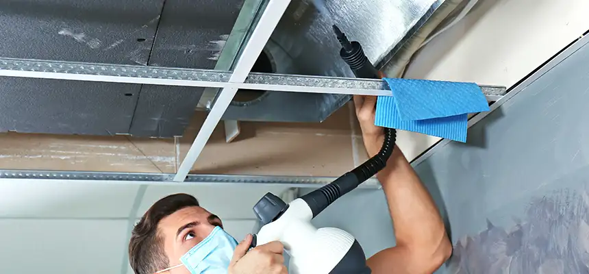 Our Air Duct Rodent Removal Services in Deer Park, NY