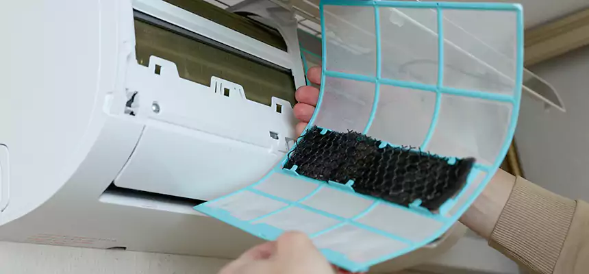 Gentle Ductwork Odor-Control Pet Dander Duct Cleaning in Deer Park, NY