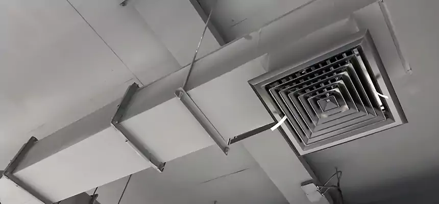 Our Rodent Droppings In Vents Services in Deer Park, NY