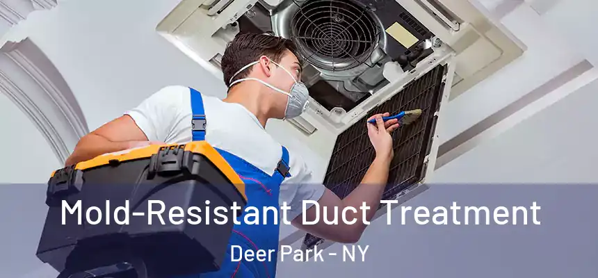  Mold-Resistant Duct Treatment Deer Park - NY