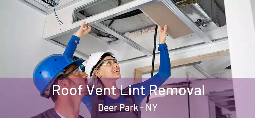  Roof Vent Lint Removal Deer Park - NY