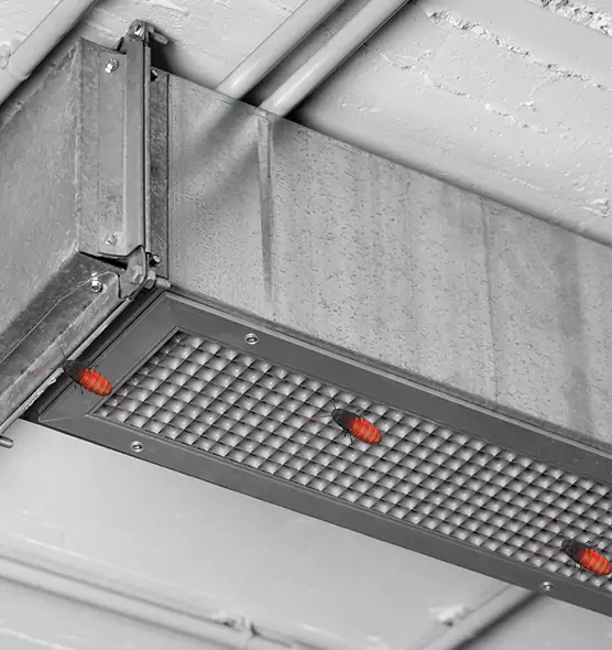 About Air Duct Cockroach Removal in Deer Park, NY