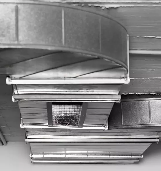 Professional Air Duct Pest Removal in Deer Park, NY