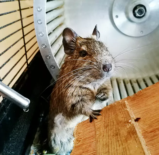 Why Homeowners & Businesses Trust Us Deer Park, NY