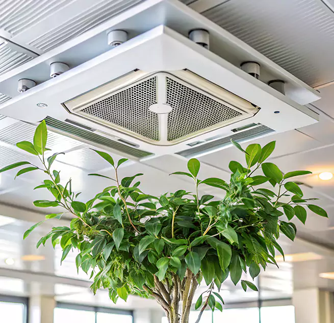 Why Homeowners & Businesses Trust Us in Deer Park, NY?